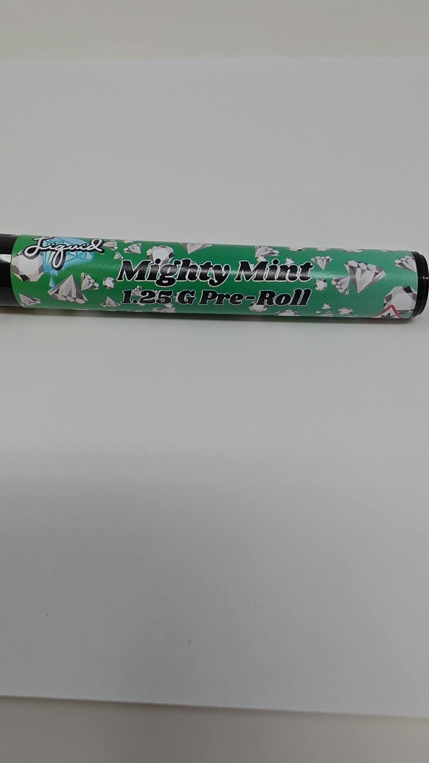 Mighty Mint 1.25 Liquid Crusher Terp infused Preroll at Amber Horizons