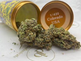 Dutch Botanicals Borinquem #13 Infused Flower 3.75g