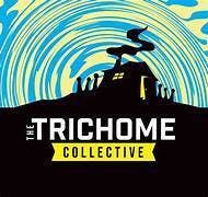 The Trichome Collective PREMIUM Rosin ONE GRAM 1g