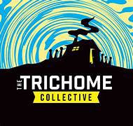 The Trichome Collective Rosin Infused Pre Roll 1.25g