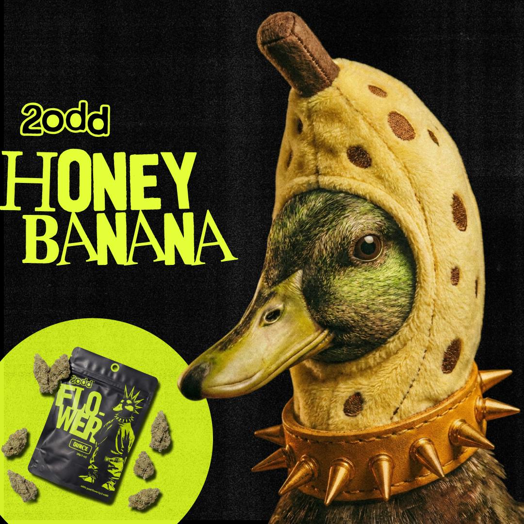 2 ODD - 28g Prepack - Honey Banana