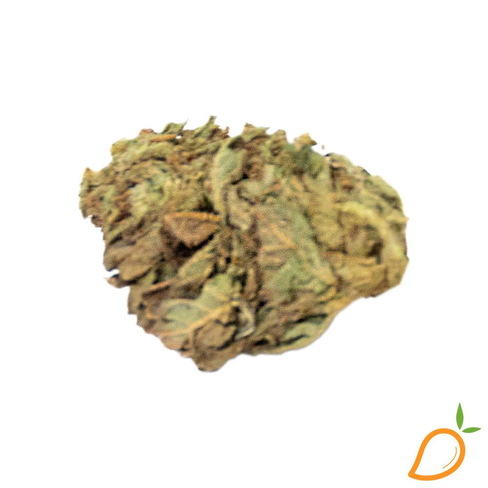 Apple Blossom - GreenCo at Mango Cannabis Recreational Weed Dispensary New Buffalo