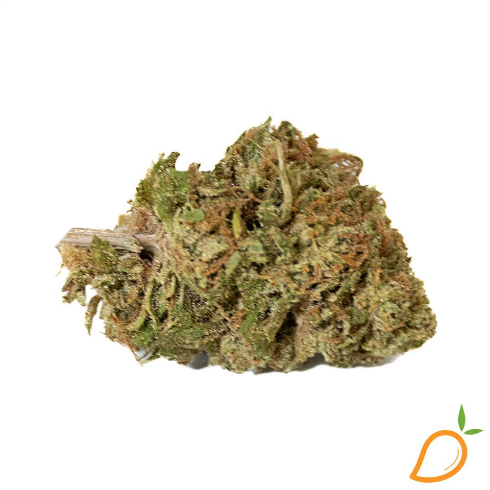 Blueberry Lemon Poundcake - GreenCo at Mango Cannabis Recreational Weed Dispensary New Buffalo