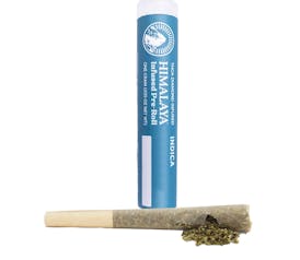 HIMALAYA | INDICA | MENDO CRUMBLE | INFUSED | PRE ROLL