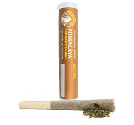 HIMALAYA | SATIVA | LOG CABIN | 1G | INFUSED | PRE ROLL