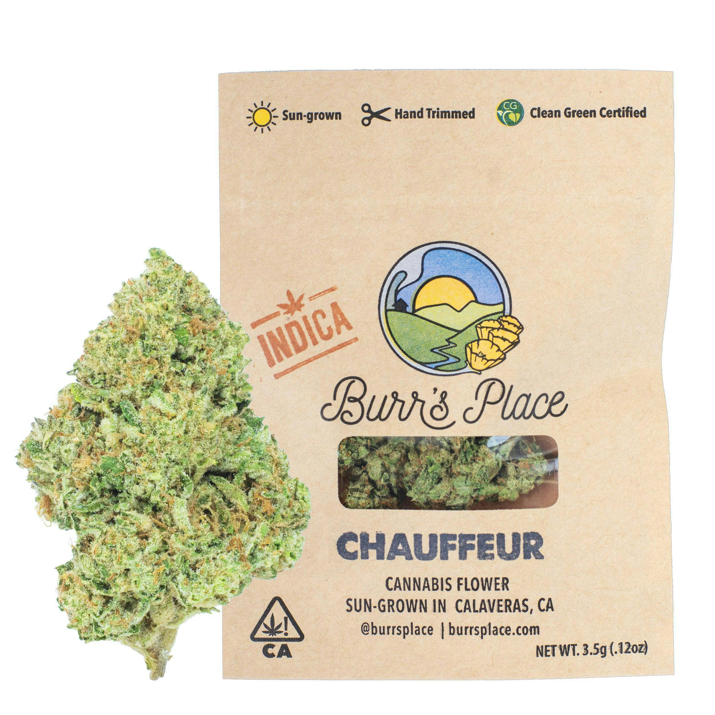 BURRS PLACE — Chauffeur