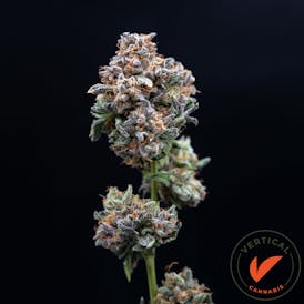 VERTICAL - CANDY FUMEZ 3.5G HYBRID