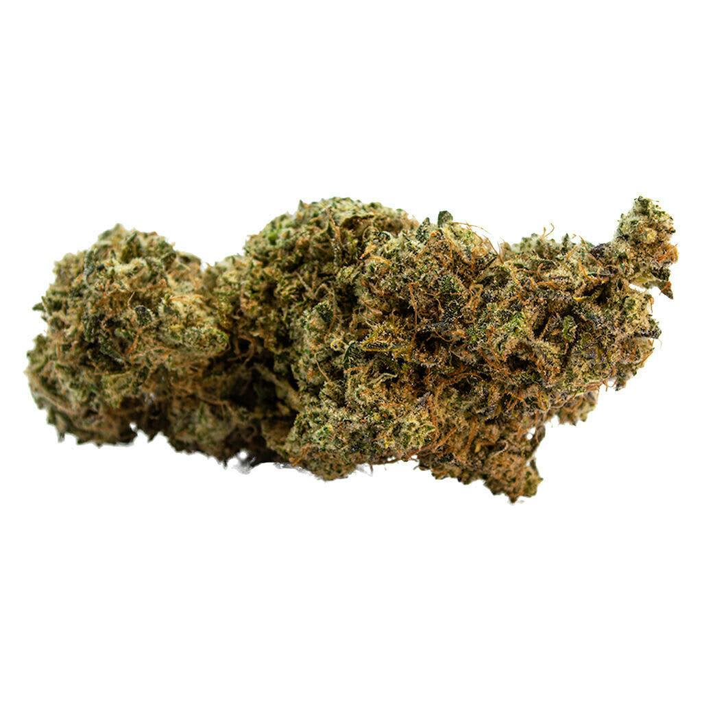 King Sherb 3.5g Dried Flower