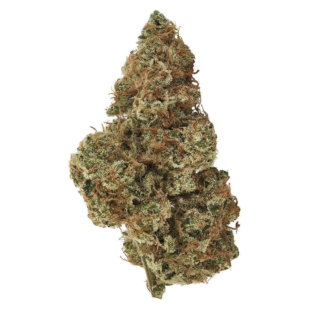 Obi Star 3.5g Dried Flower