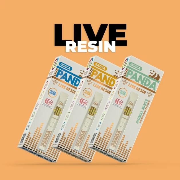 Terpgasm | Live Panda Disposable | 2g