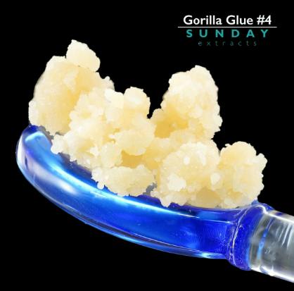 Sunday Extract 3g Concentrate - Gorilla Glue #4 | Live Resin