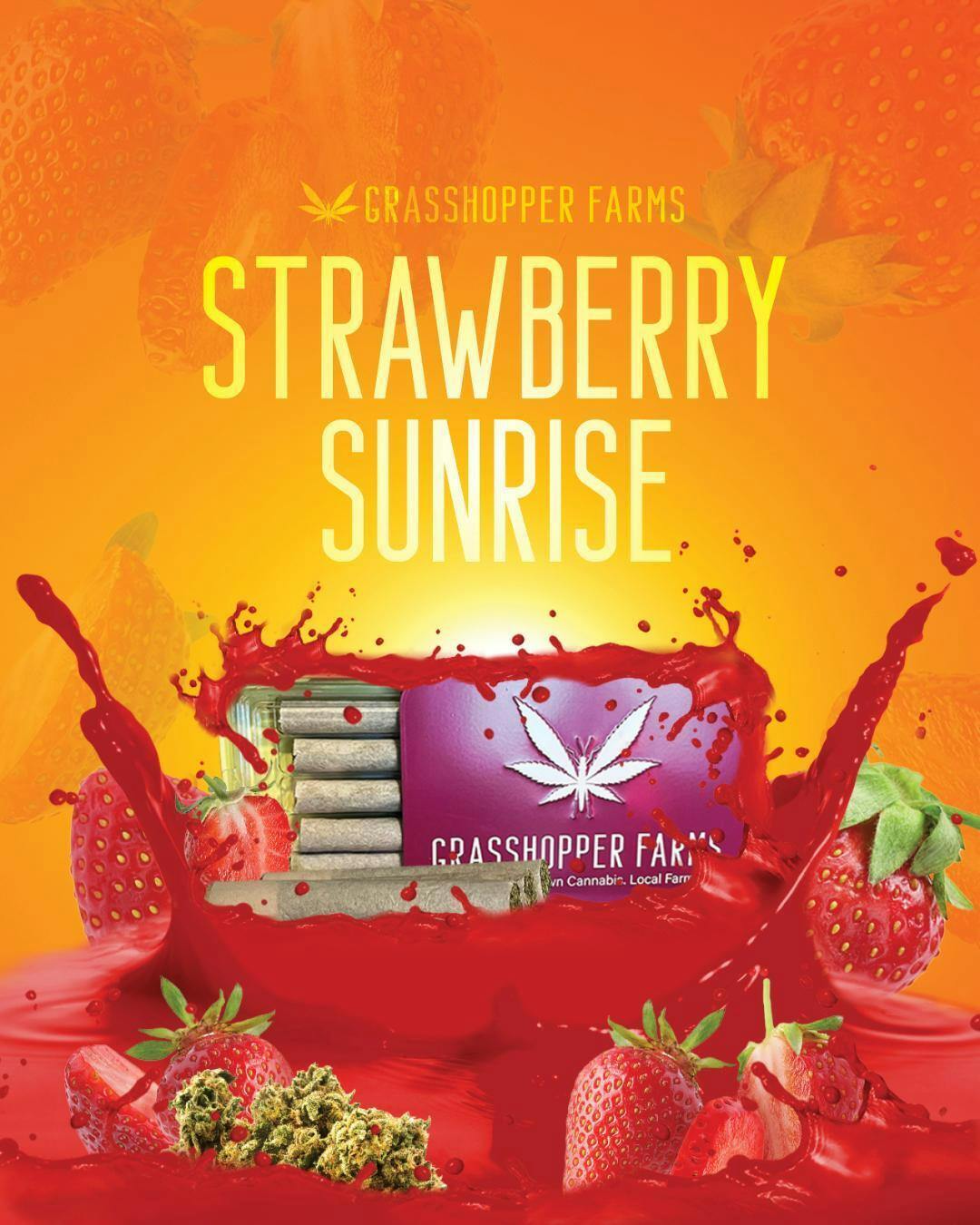 Strawberry Sunrise - 5 pk Infused