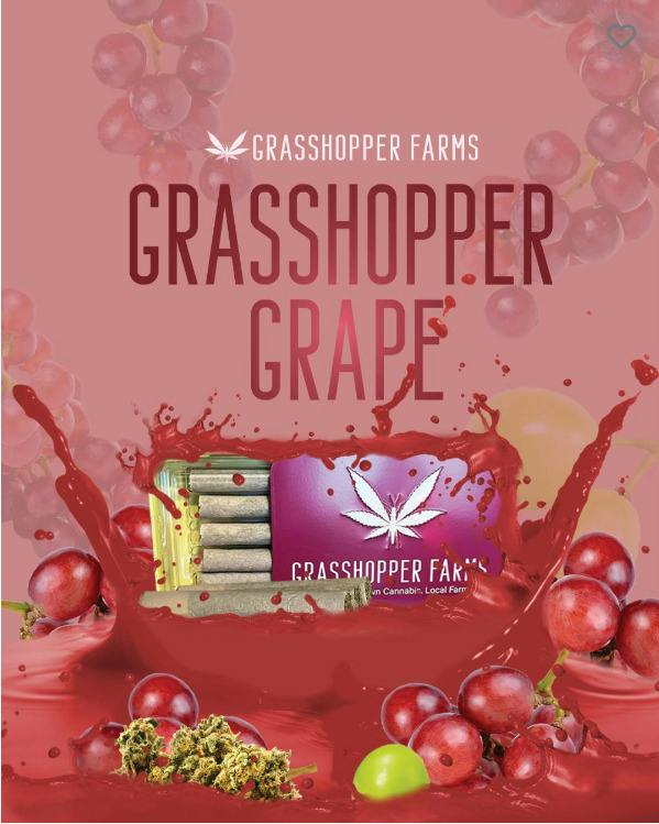 Grape - 5 pk Infused