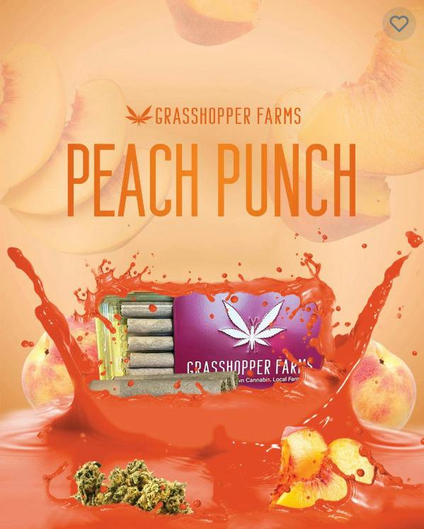 Peach Punch - 5 pk Infused