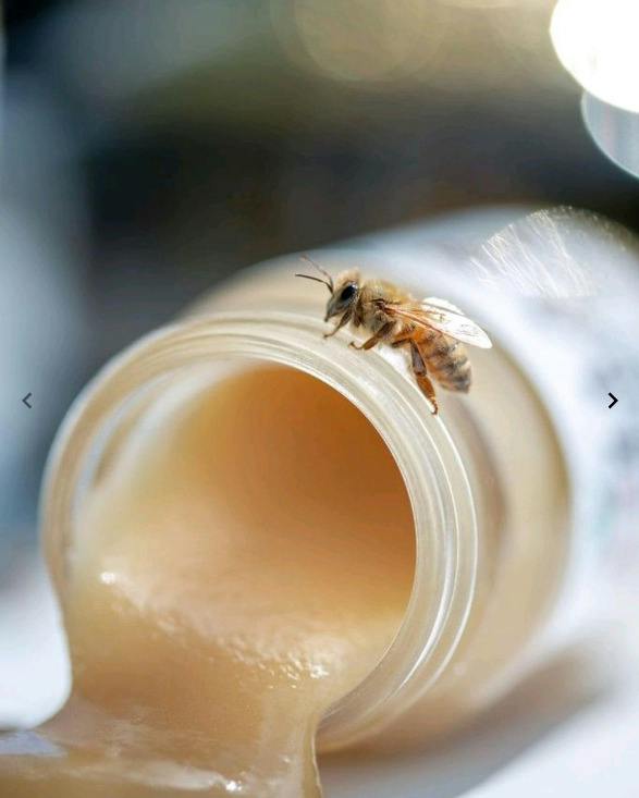Zilla's - Wildflower Honey - 200mg