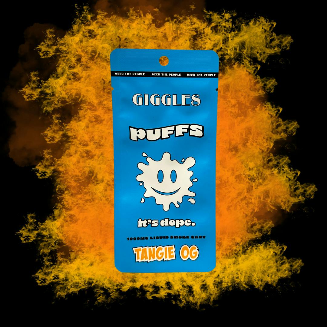 Tangie OG - 1g Cart at The WellFlower Manistee