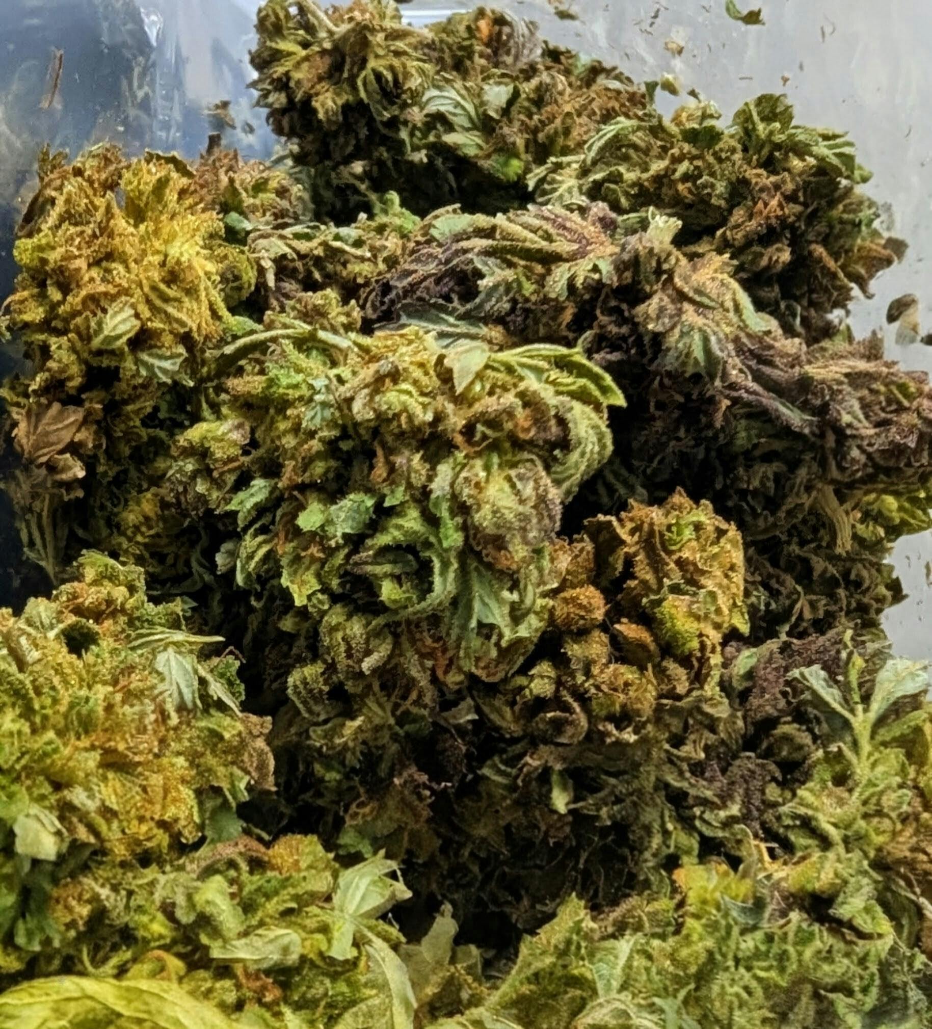 Bigfoot Glue - 28g