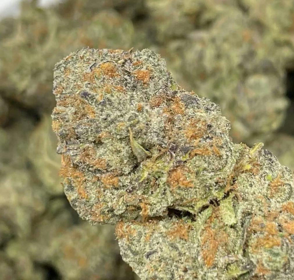 Pink Runtz - 3.5g at The WellFlower Manistee