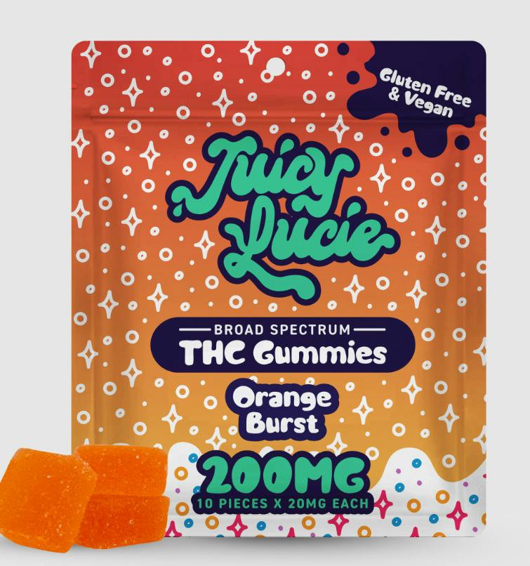 Orange Burst - 200mg Gummies at The WellFlower Manistee