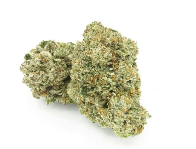 1964 | Organic Comatose | 1g