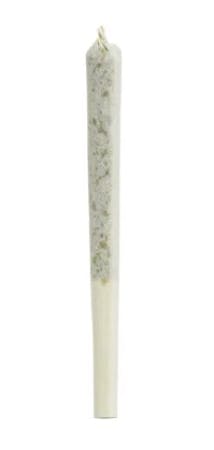 1964 | HEAVY HITTER LEBANESE HASH INFUSED PRE-ROLL