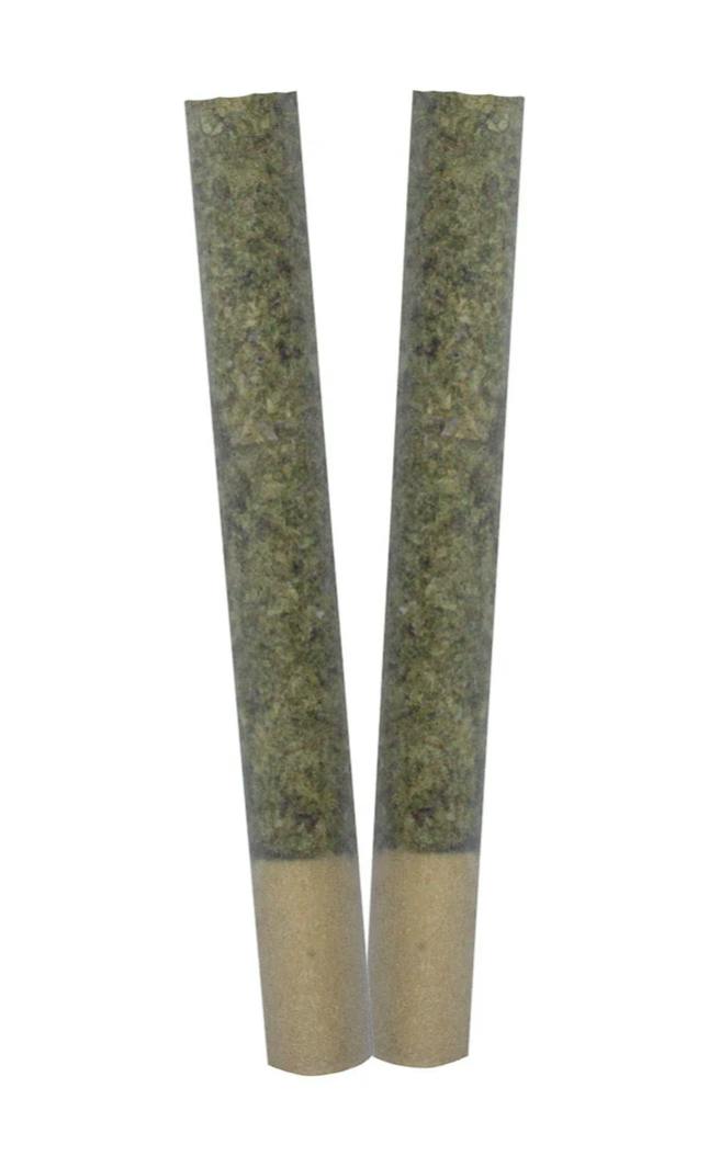 TRYGG | TRANCE PRE-ROLLS (ROTATIONAL) | 2 X 1 g