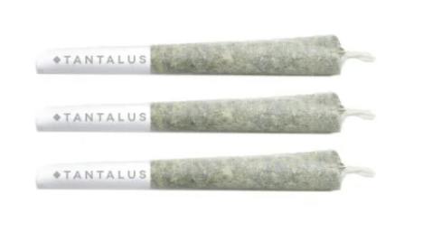 Tantalus | MORE COWBELL PRE-ROLLS | 3 X 0.5 g