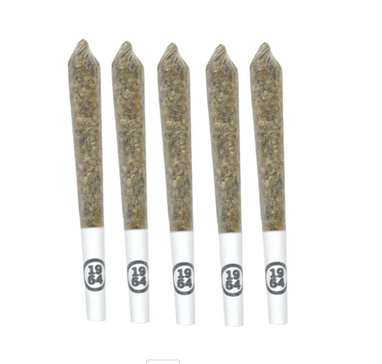 1964 | GASOLINA PRE-ROLLS | 5 X 0.5 g