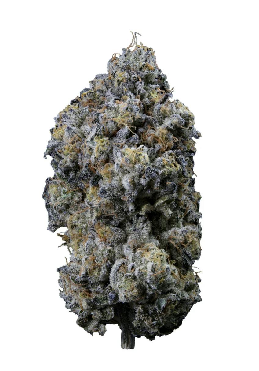 Sweetgrass Organic Cannabis | PINE MENTZ PREMIUM FLOWER LTO | 14 g
