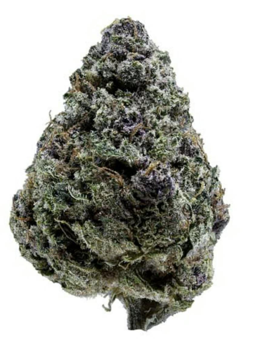 Sweetgrass Organic Cannabis | TRIANGLE QUEEN PETITES | 3.5 g