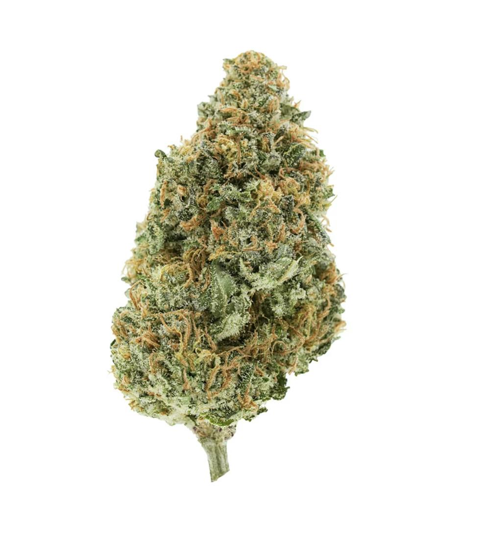Simply Bare Organic | BC ORGANIC PLUMZ LTO