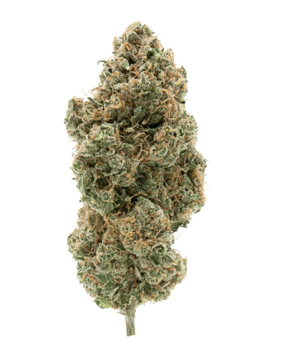 Simply Bare Organic | BC ORGANIC TANGERINE SUNRISE