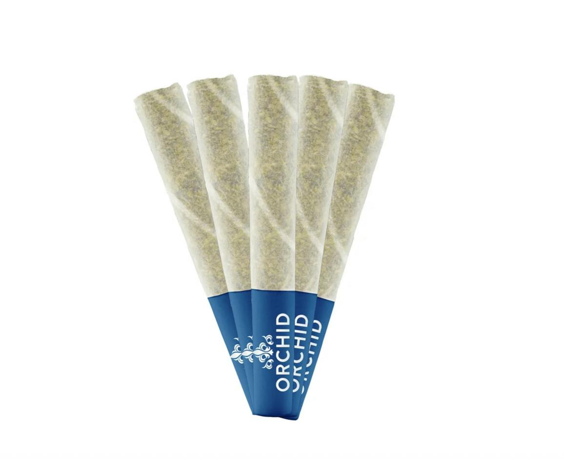 Orchid CBD | JEAN GUY CBD PRE-ROLLS | 5 x 0.5G