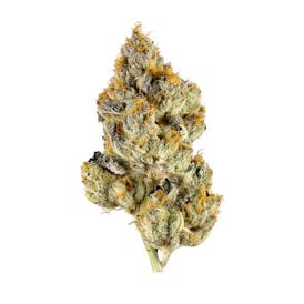 Lemon Cherry Gelato Flower