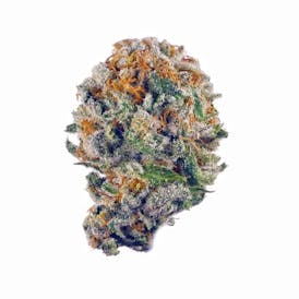Flower Blueberry muffin