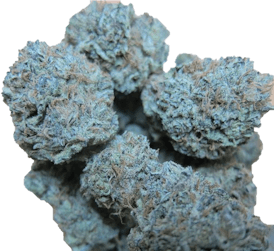 Preroll KUSH MINTZ 32.5% Manu: Dank Of The West (2022-0030-PRM-0001) 02/28/25 Exp. 02/28/26