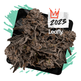 permanent markerzz THC 15% CBD .01% PROD. 03/28/2025 EXP. 03/28/2026