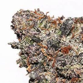 Black Jet Fuel Shake