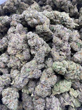 Flower Gelato 2