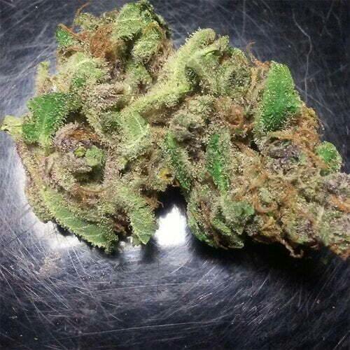 Preroll WINTER SUNRISE THC 28.02% CBD 00.01% Manu: Dank Of The West (2022-0030-PRM-0001) PROD. V... at Dank Of The West