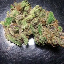 Preroll WINTER SUNRISE THC 28.02% CBD 00.01% Manu: Dank Of The West (2022-0030-PRM-0001) PROD. V...