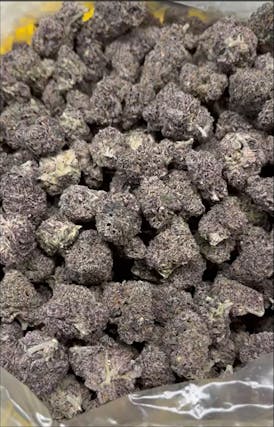 Guavalato Breath Flower | Partial