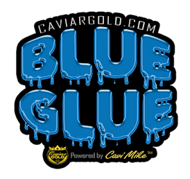 Blue Glue Cavi Cone