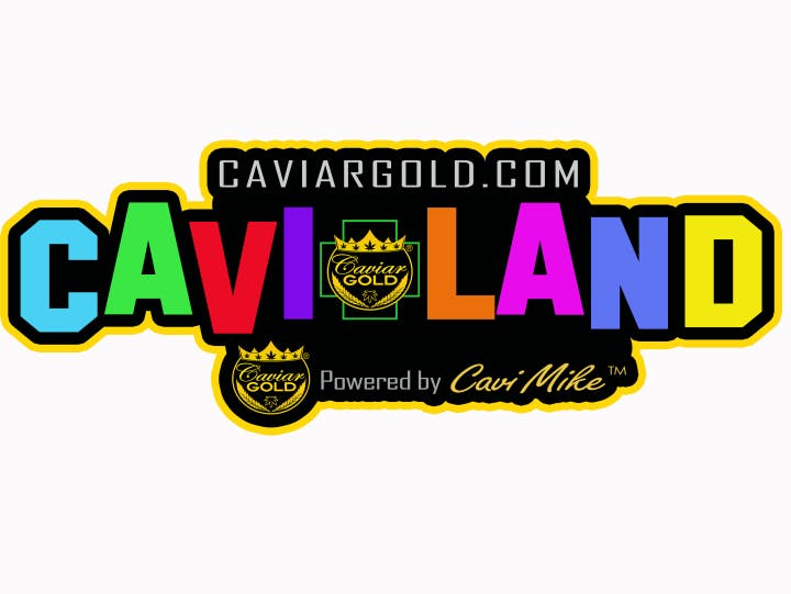 Cavi Land Cavi Cone at Dank Of The West