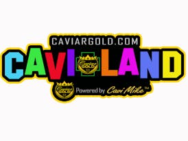Cavi Land Cavi Cone