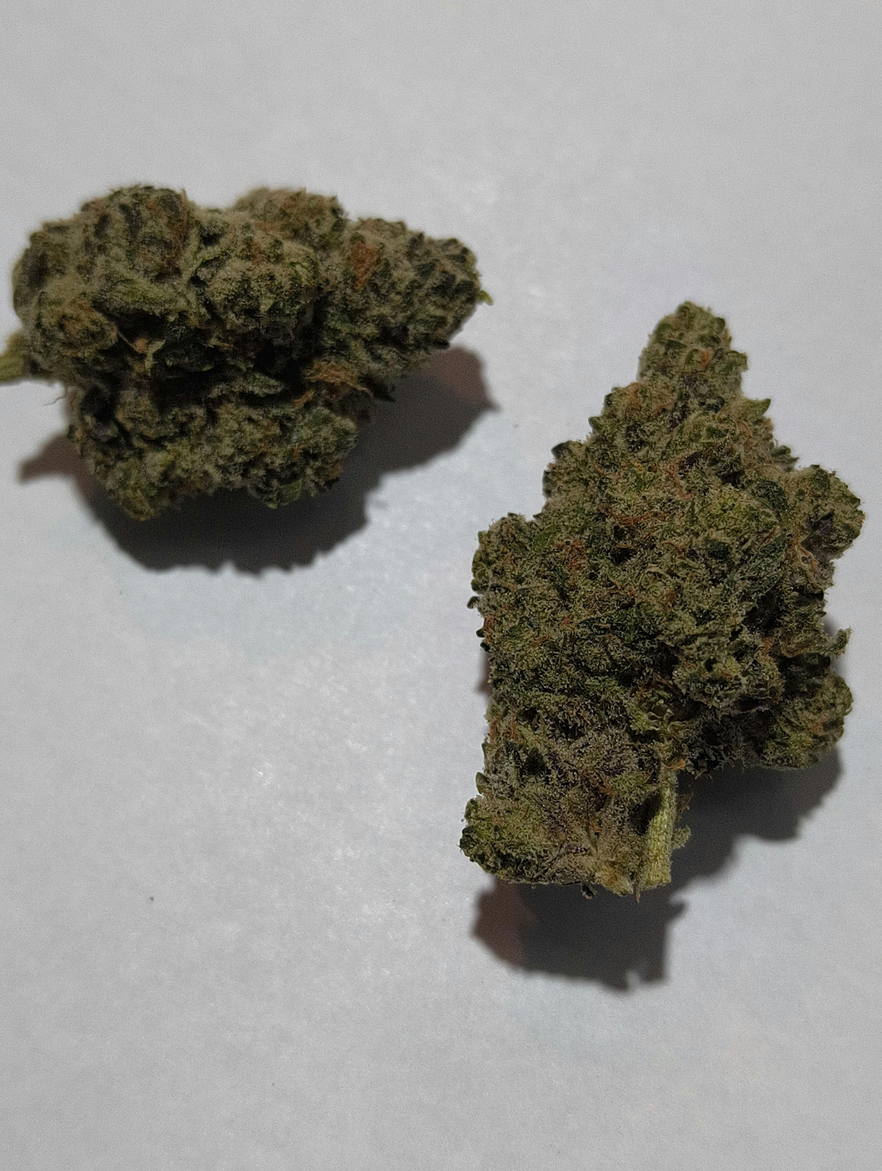 The Toad 30.51% THC Flower