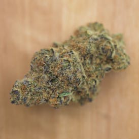 King Louie