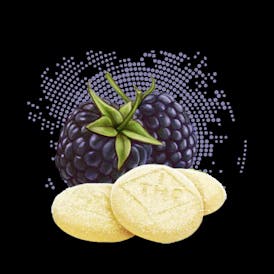 Blackberry Phyllo - C-Bite - Rosin - 100mg - 10ct