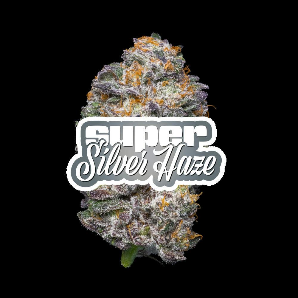 Cookies Select - Super Silver Haze