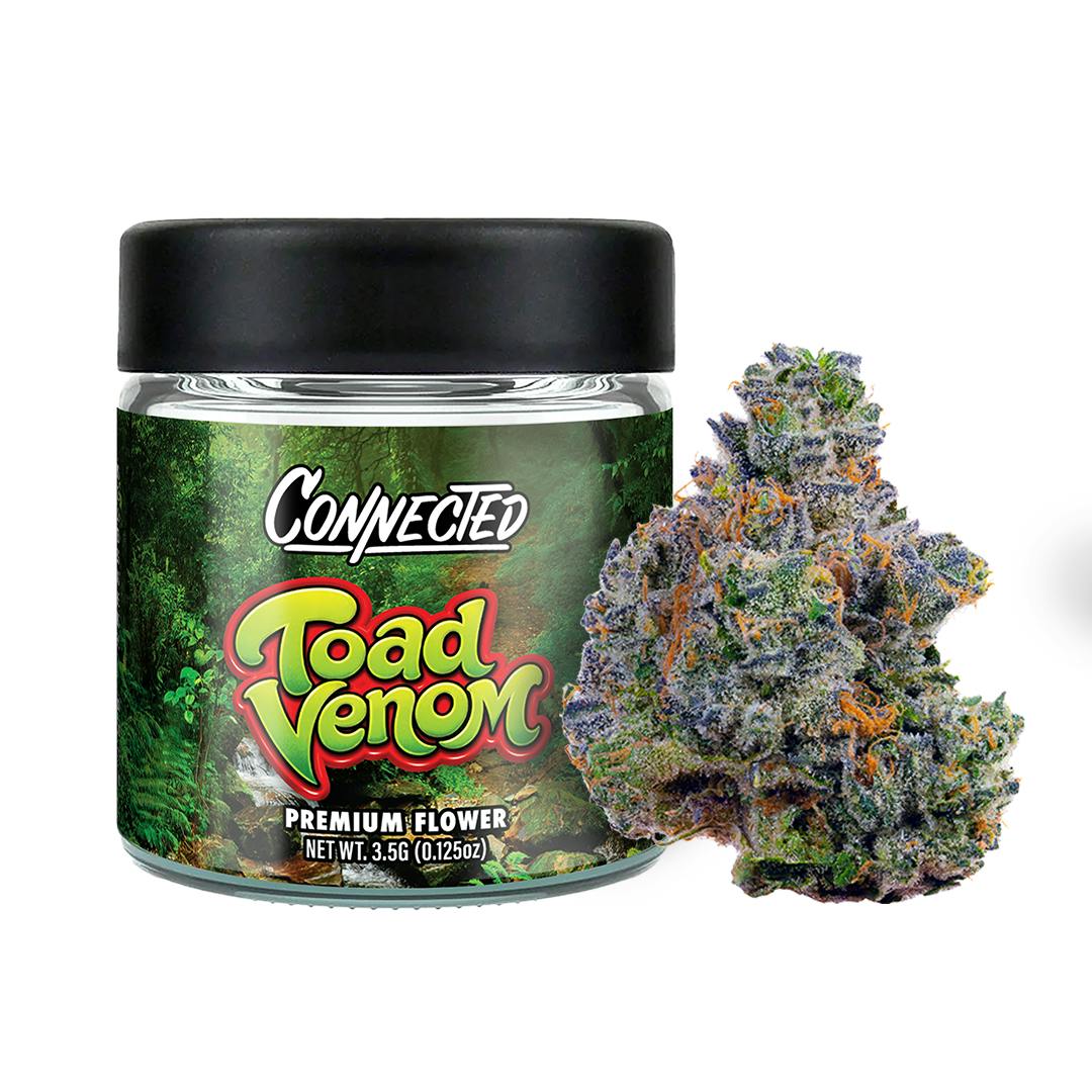 CONNECTED - INDOOR: Toad Venom